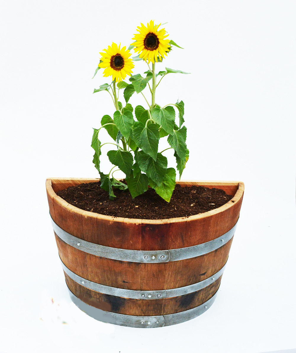 MGP Lacquer Finished Oakwood Quarter Wine Barrel Planter, 26"W X 13"D X 18"H Wayfair